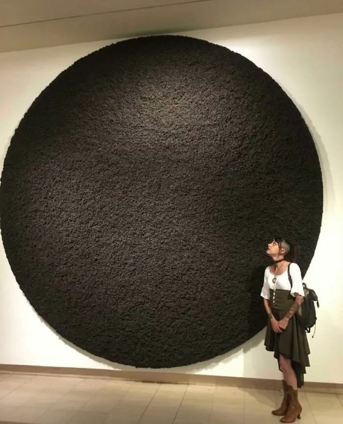 Instalación artística hecha con miles de moscas muertas