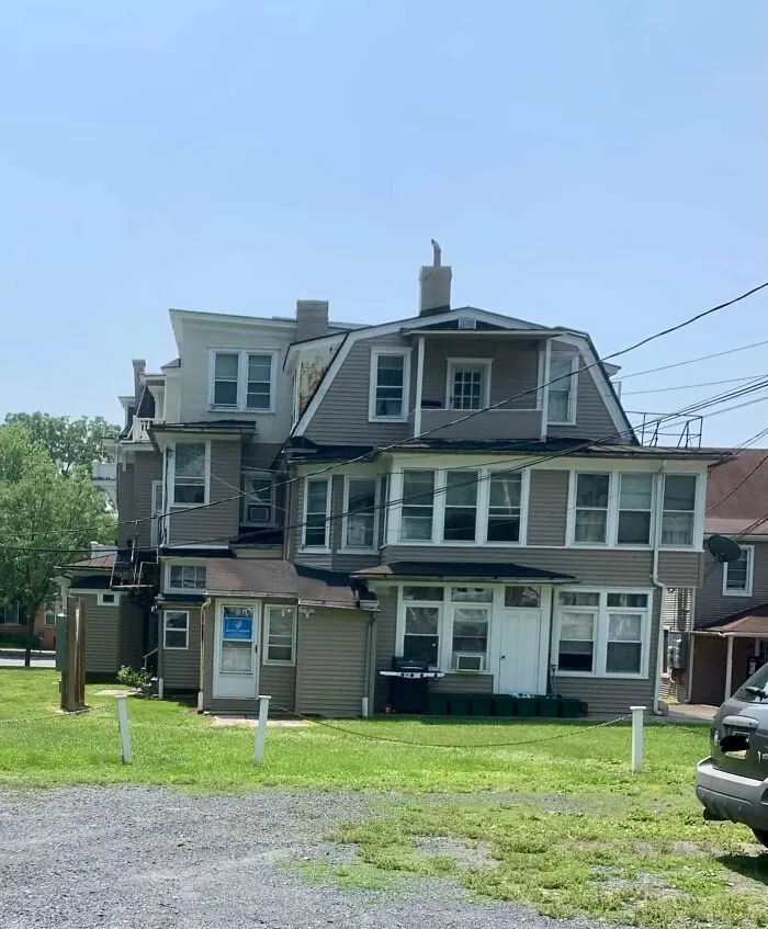 Architect: So How Many Windows We Thinking? Client: Yes