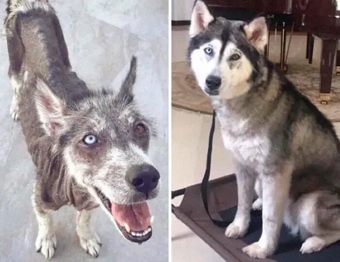 Amazing How Love Changes Someone