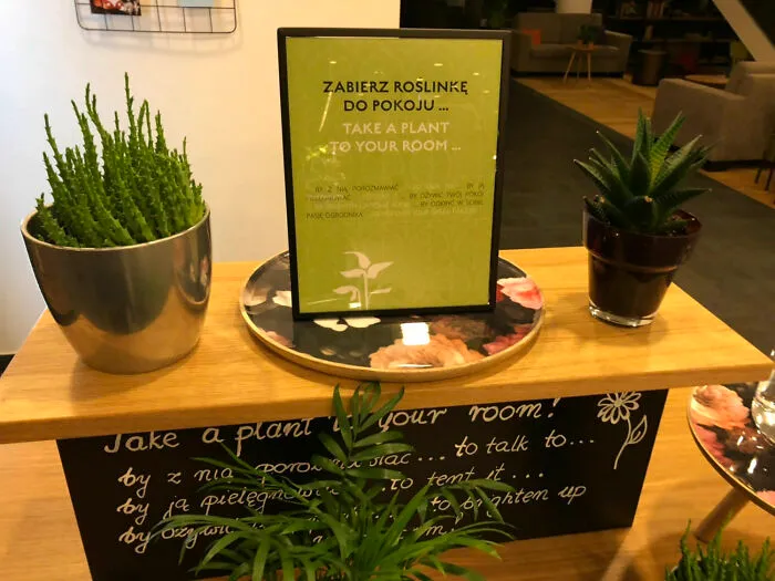 En este hotel te dejan elegir una planta para llevarte a tu habitación