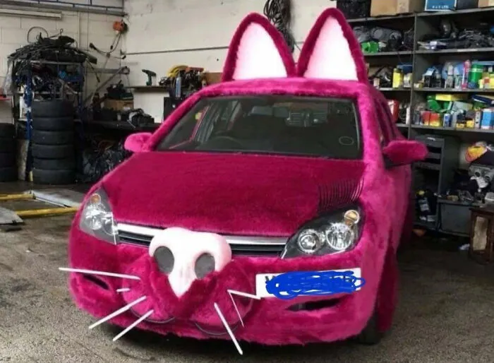 Probablemente el dueño es un furry