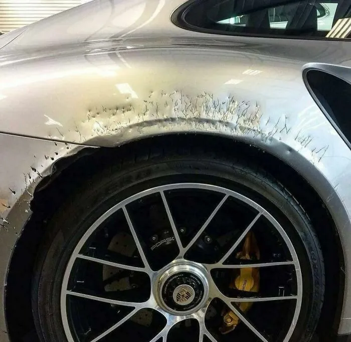 The Owner Of This Porsche Has A Dog That Is Anxious Or That Doesn't Approve Of His Color Choice