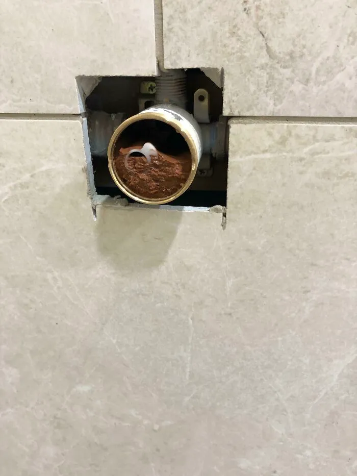 Homeowner Took It Upon Himself To Fire Up The Well On A New Build And Fill The House Lines Full Of Sediment And Mud