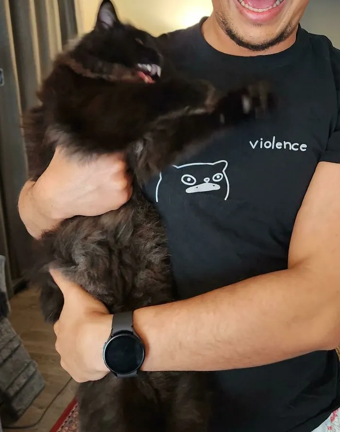 Violence