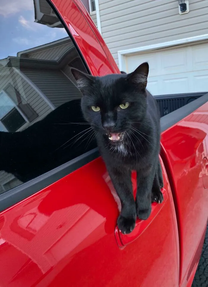 He Has A Lot To Say