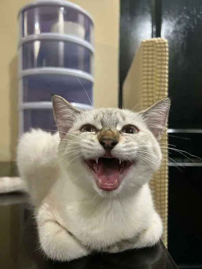 Hello Friends!