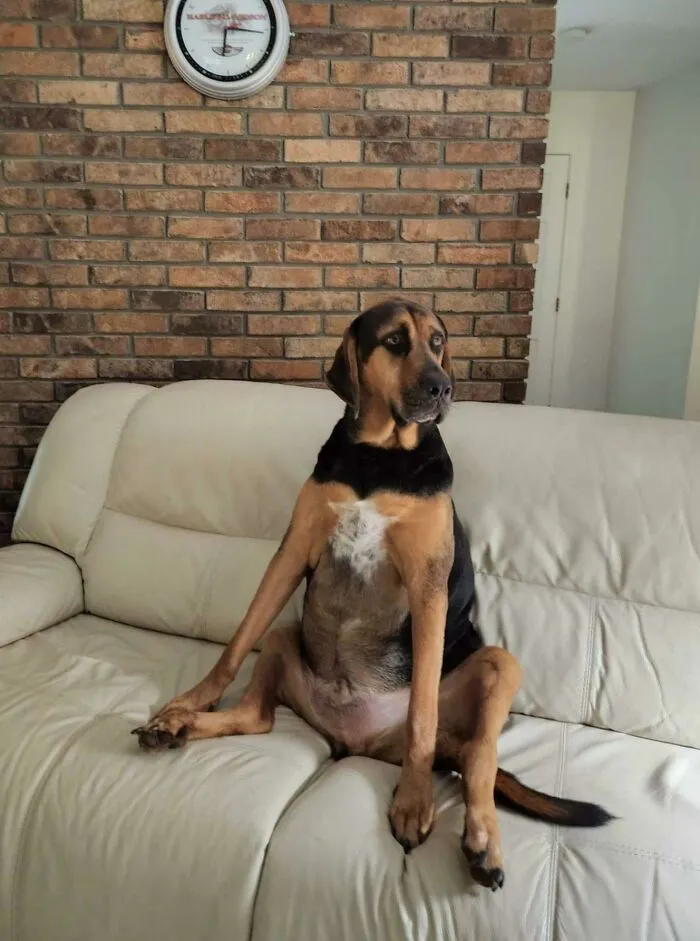 Standard Chillin' Posture
