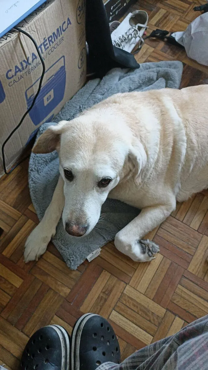 Just Adopted This 10 Year Old Sweetie