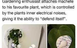 50 Epic Moments When People Spotted Someone Or Something Reach ‘Boss’ Level (New Pics)