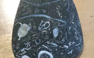 50 Of The Most Interesting Things People Ever Found On The Beach (New Pics)