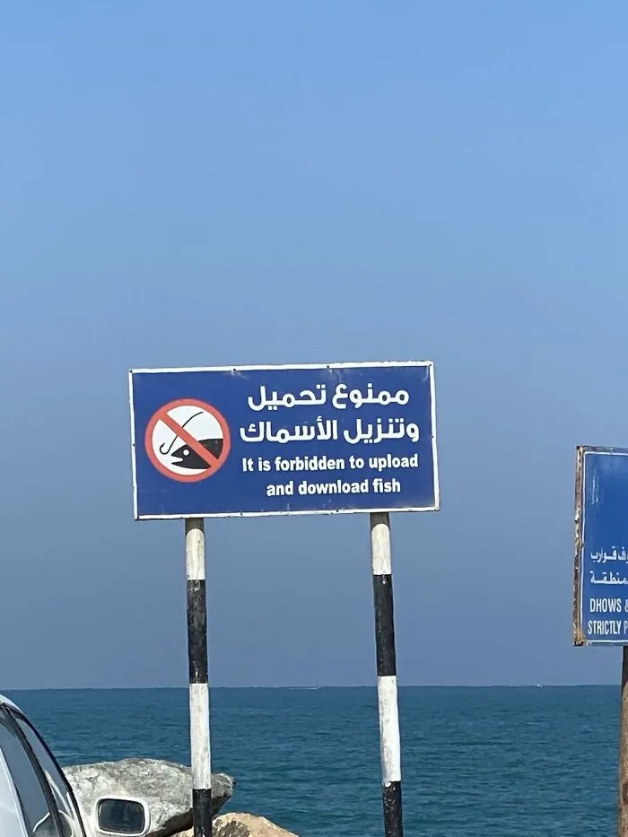 You Wouldn't Download A Fish