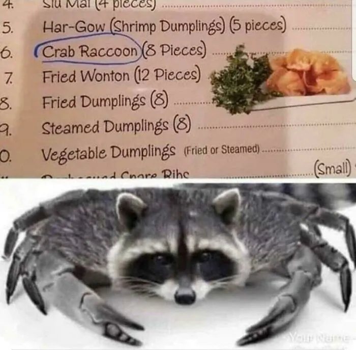 Crab Raccoon