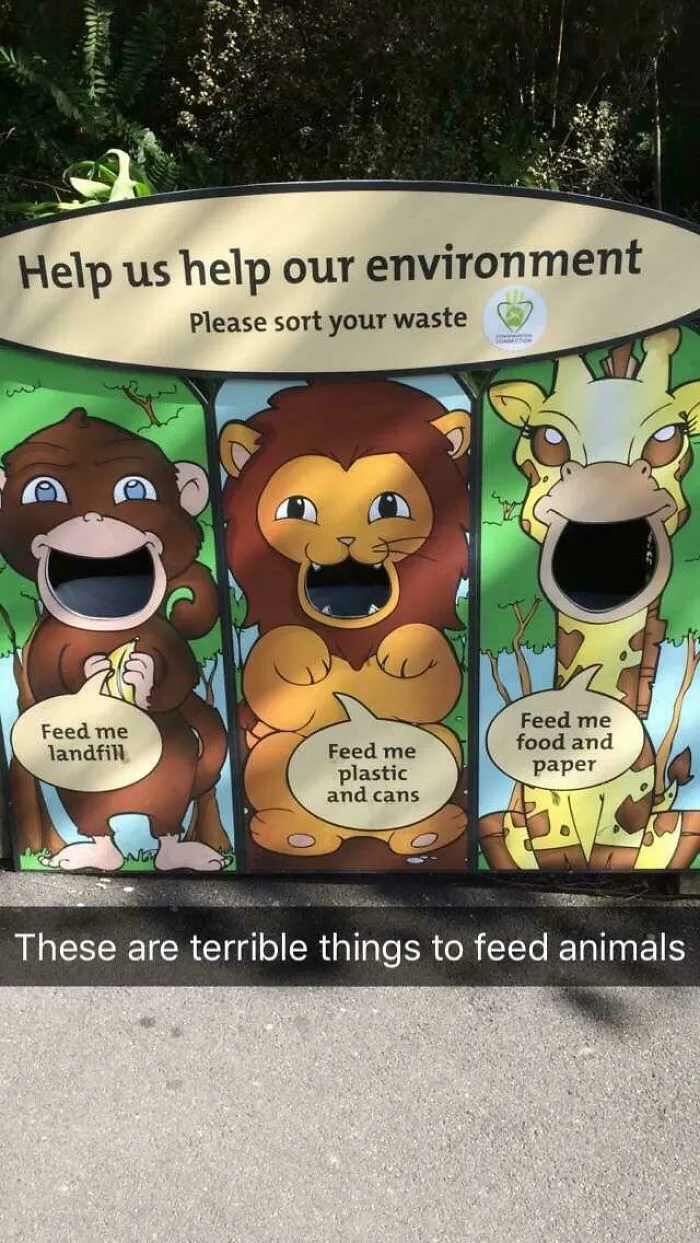 Teaching Kids Terrible Things At Wellington Zoo