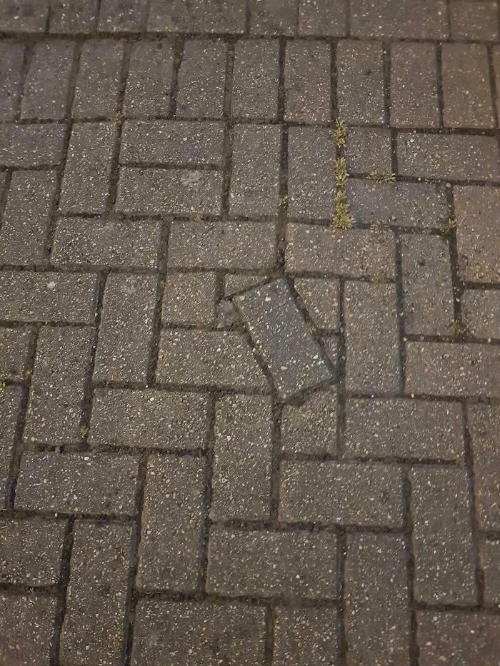 911 - I'd Like To Report A Crime