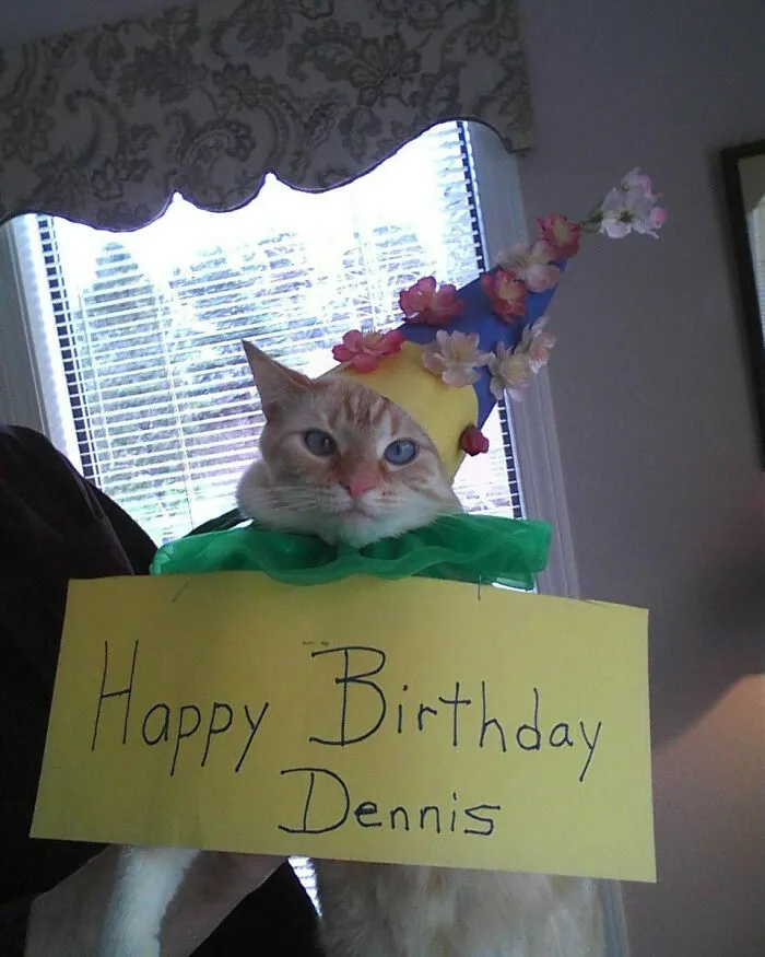Getting My Grandma A Camera Phone Was The Best Decision I Ever Made. The Cat Might Disagree