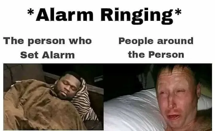 “When the Alarm Rings and Morning Chaos Ensues”