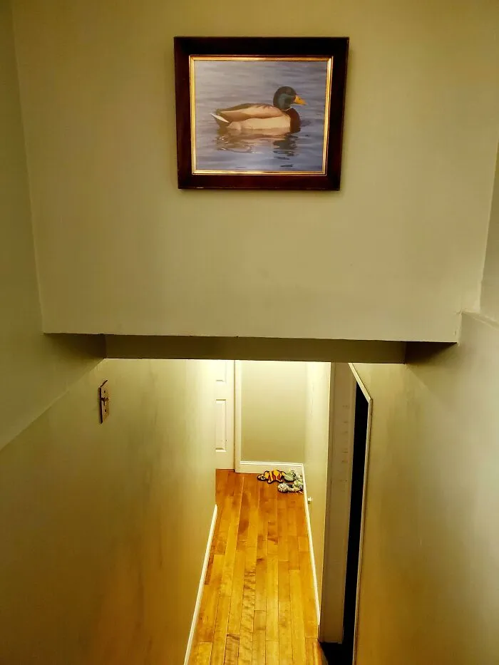 Everyone Kept Hitting Their Heads As They Walked Down My Stairs, So I Hung A Sign As A Warning