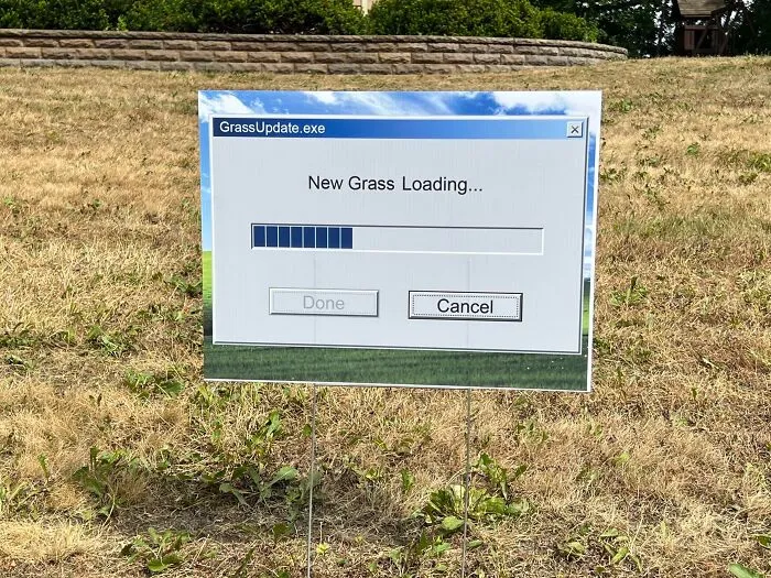 Nuevo césped cargando