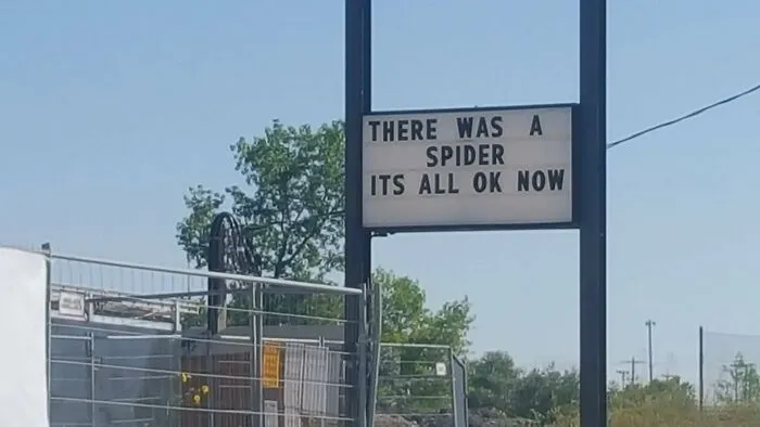 Había una araña, ahora todo está bien