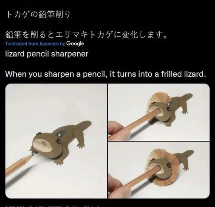Pencil Shavings Create Frilled Lizard