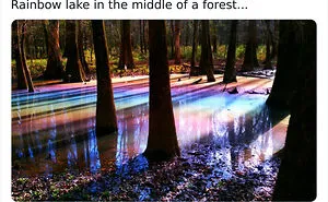 "Oddly Satisfying": 40 Times People Were Unexpectedly Pleasantly Surprised By What They Saw