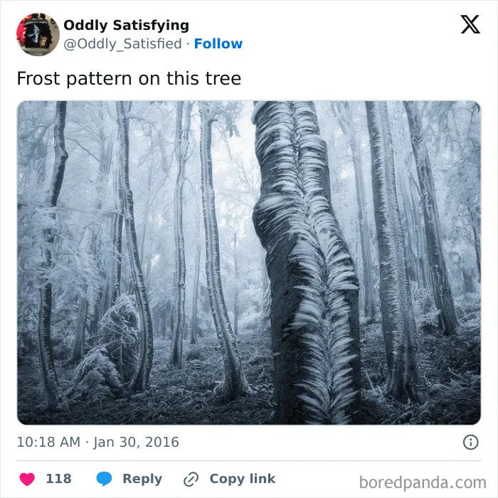 "Oddly Satisfying": 40 Times People Were Unexpectedly Pleasantly Surprised By What They Saw