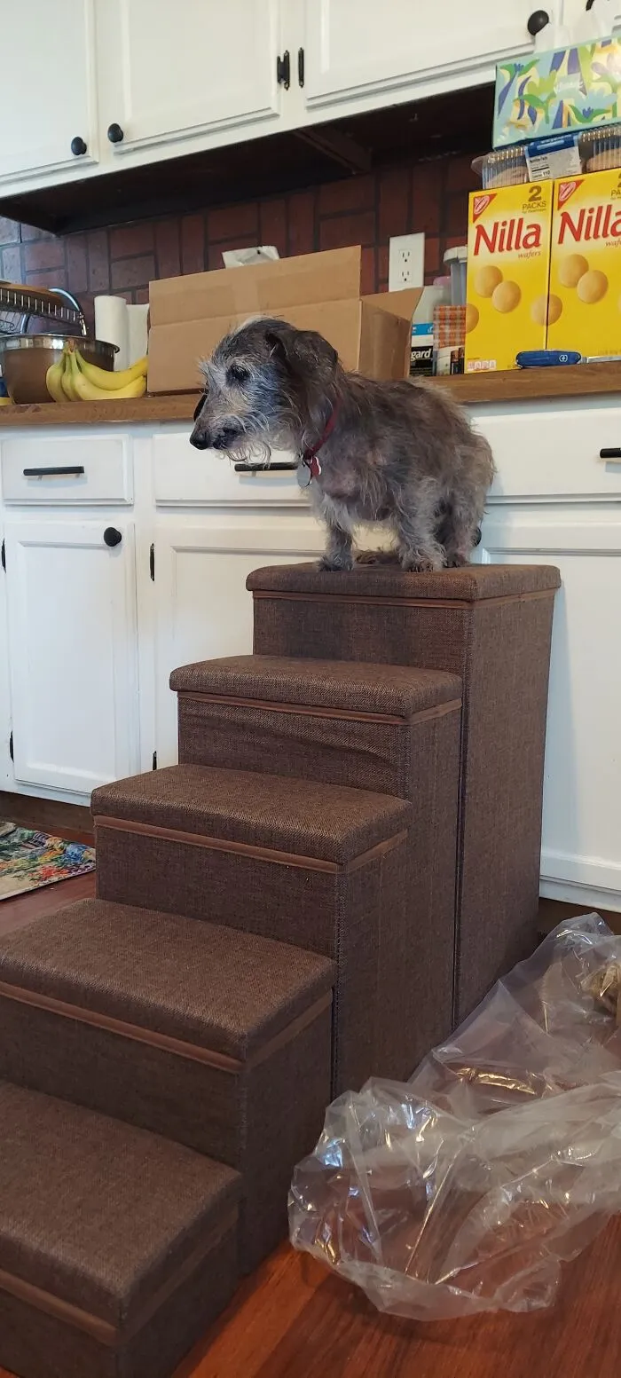 Zeus, Learning To Navigate A New Set Of Stairs
