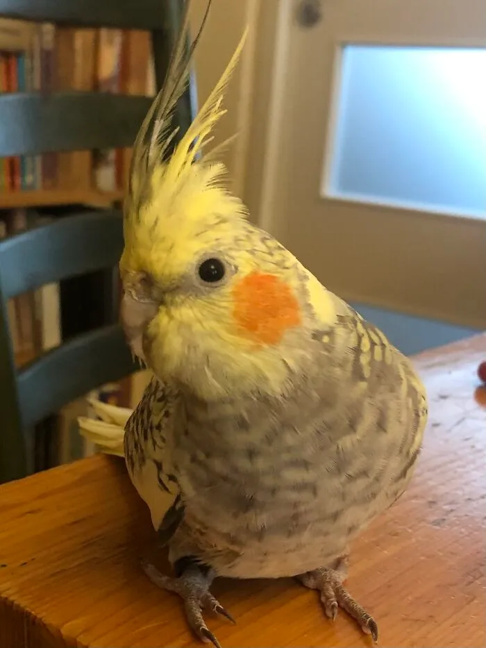 Danny