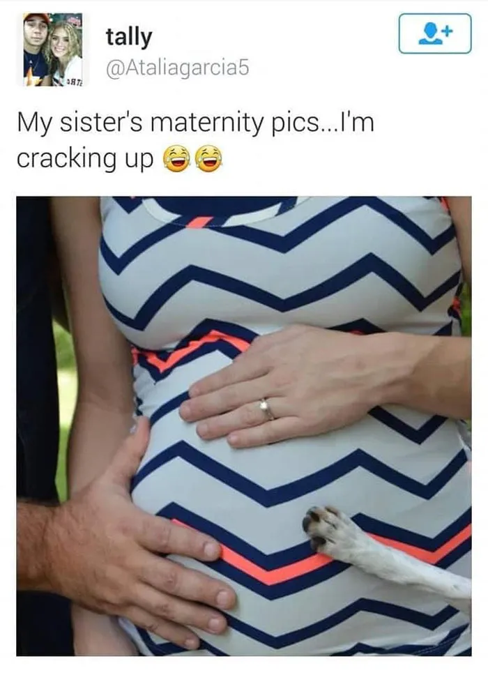 A Healthy Dose of Furry Laughter