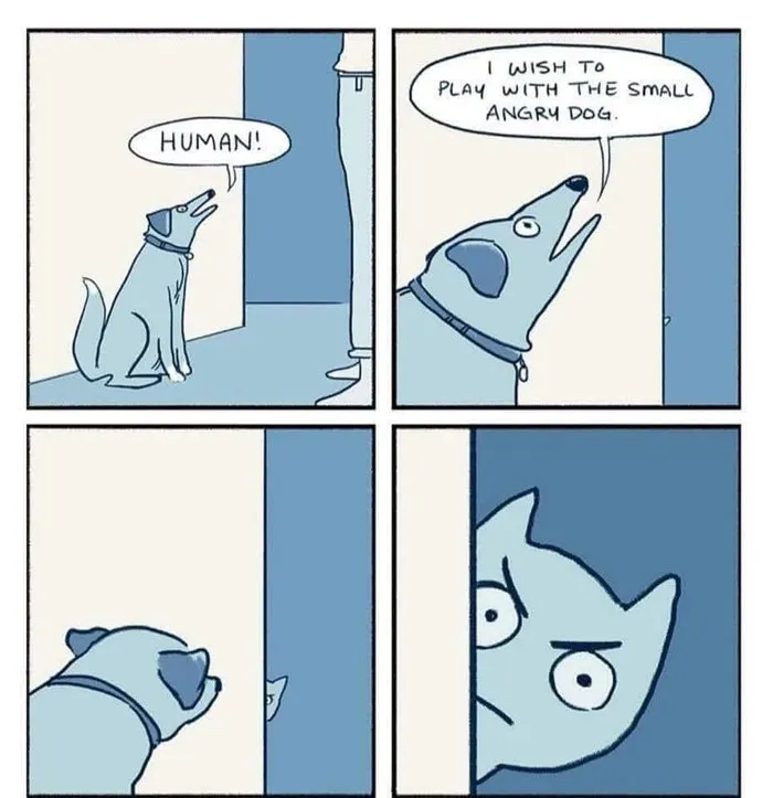 Dog meme with a blue dog asking to play with a small, angry dog hiding behind a door.