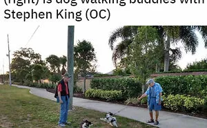 50 Dog Memes Guaranteed To Make You Smile