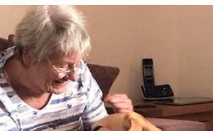 50 Dog Memes Guaranteed To Make You Smile