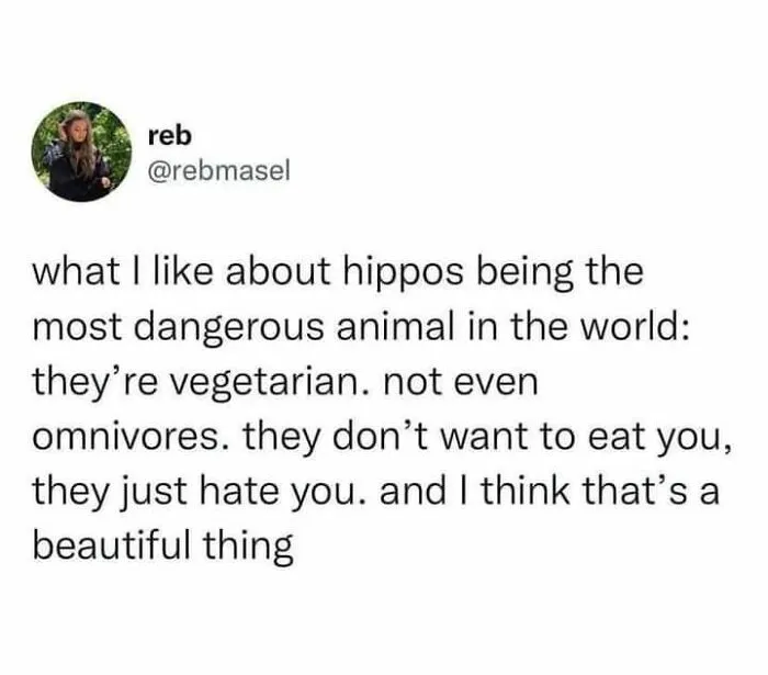 50 Hilariously Relatable Memes From ‘Cheerful Nihilism’