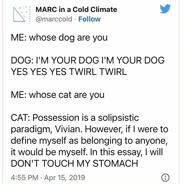 50 Hilariously Relatable Memes From ‘Cheerful Nihilism’