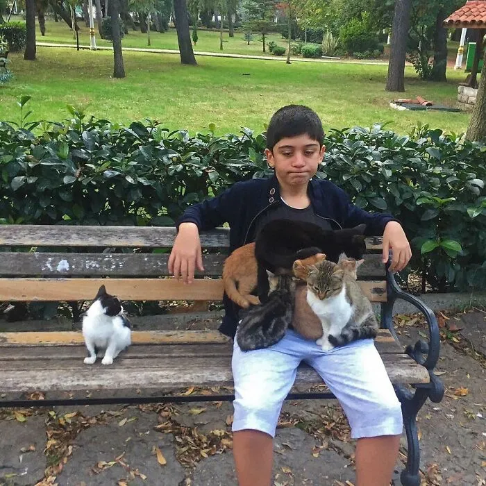 “Passing The Bounds Of What’s Usual”: 50 Unhinged Pics That Are As Confusing As They Are Amusing