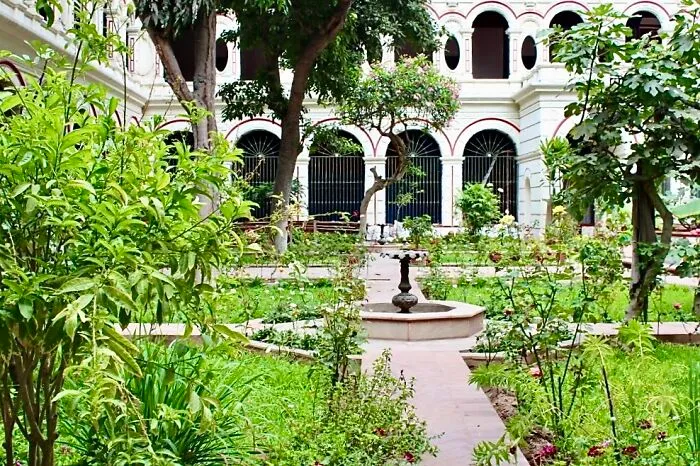 The Interior Garden
