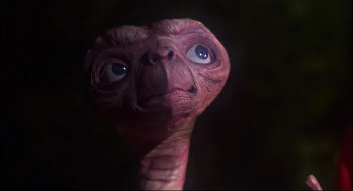 30 “I’m Sorry, What!?” Takes On Movies By People Who Missed The Point, As Shared Online