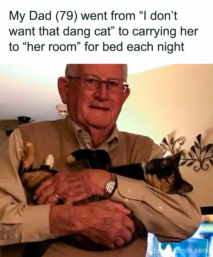 He's In Love