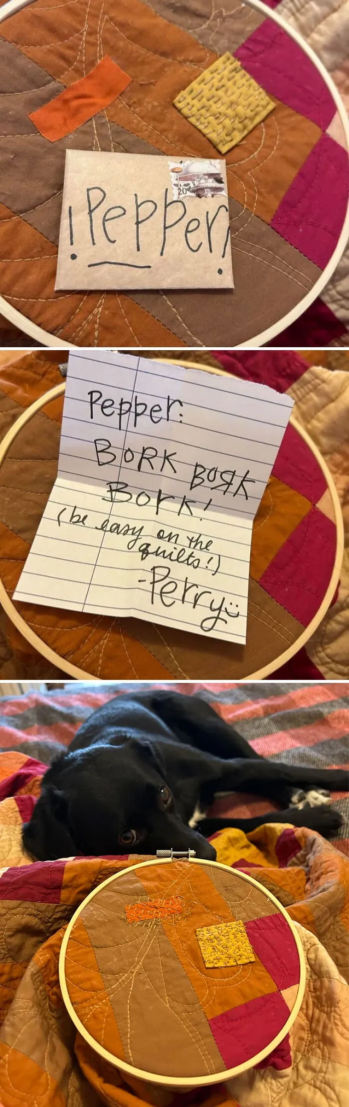 Someone Chewed A Hole In The Beautiful Quilt My Friend Made. Friend Sent Scraps, Thread And A Letter For The Offender