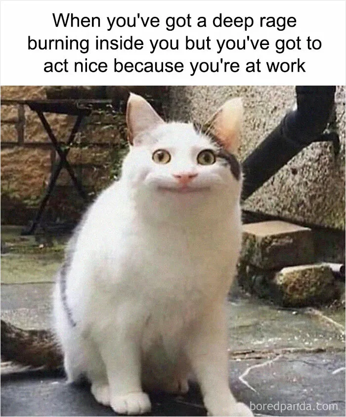 This IG Page Hosts The Most ‘Sarcastic’ Memes, And Here Are 50 Of The Most Relatable