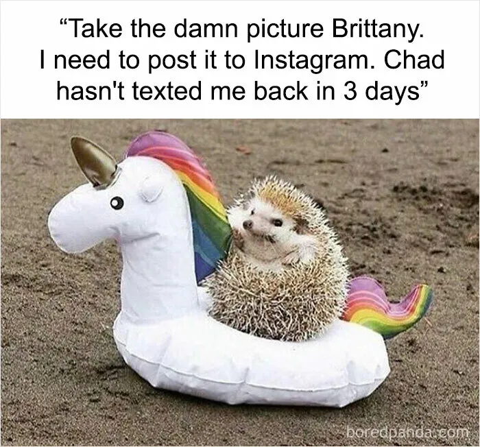 This IG Page Hosts The Most ‘Sarcastic’ Memes, And Here Are 50 Of The Most Relatable
