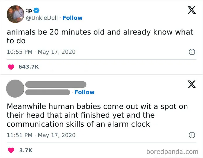 50 Of The Most Hilarious Comebacks To Have Graced The Internet
