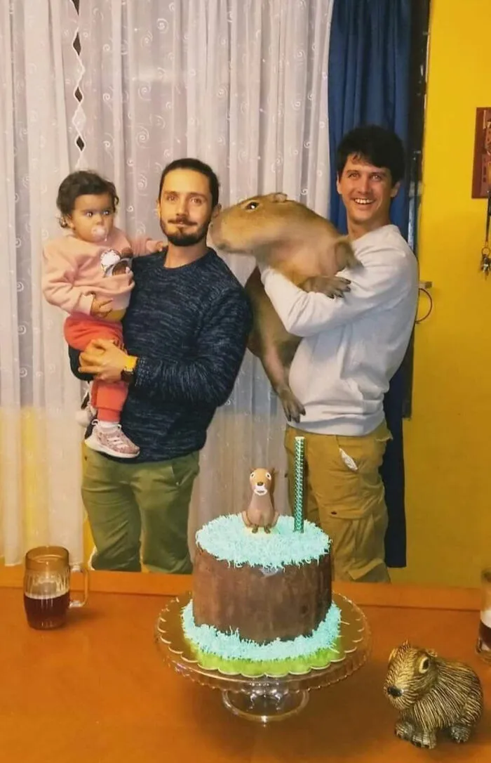 “Passing The Bounds Of What’s Usual”: 50 Unhinged Pics That Are As Confusing As They Are Amusing