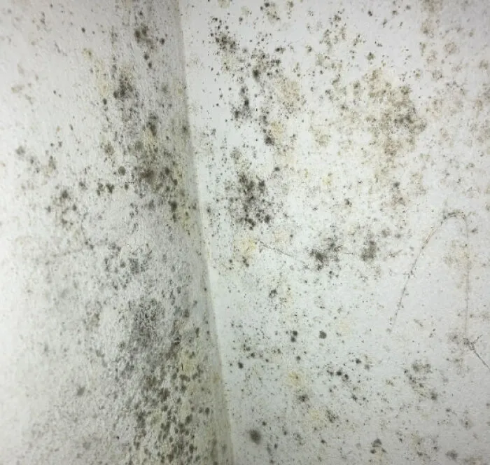 30 Restaurant Guests Share The Most Disgusting Things They’ve Seen, And It Hurts To Read