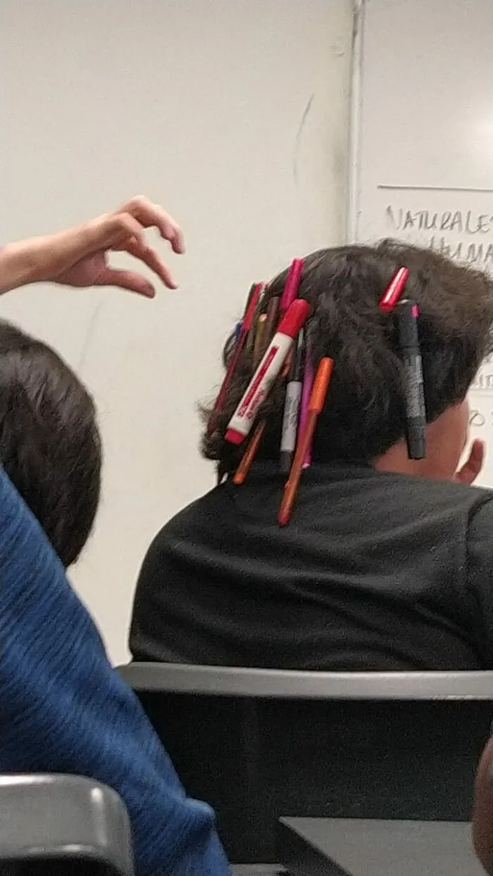 Fabulous Hairstyle!