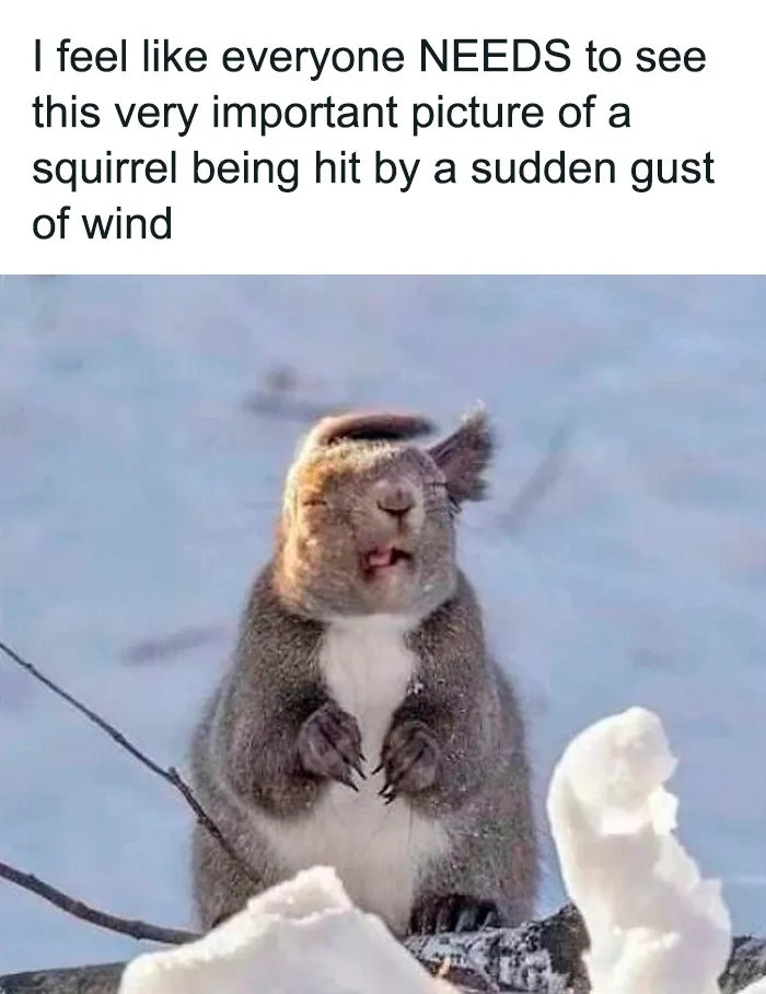 50 Hilariously Relatable Memes From ‘Cheerful Nihilism’