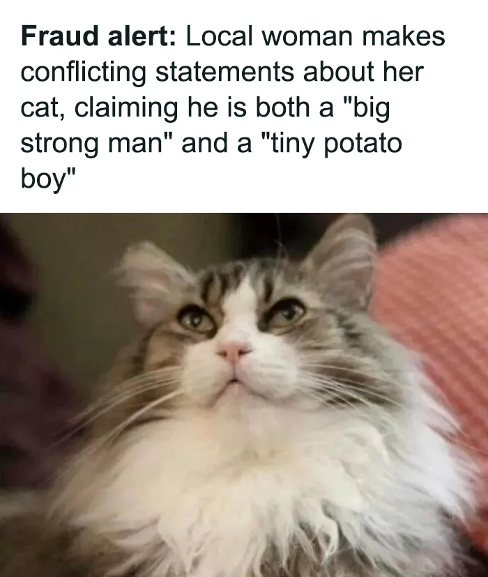 50 Hilariously Relatable Memes From ‘Cheerful Nihilism’