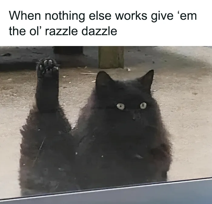 50 Hilariously Relatable Memes From ‘Cheerful Nihilism’