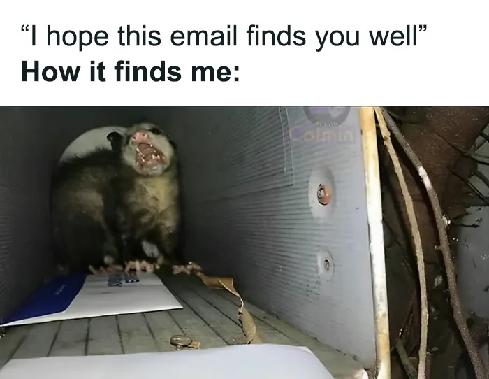 50 Hilariously Relatable Memes From ‘Cheerful Nihilism’