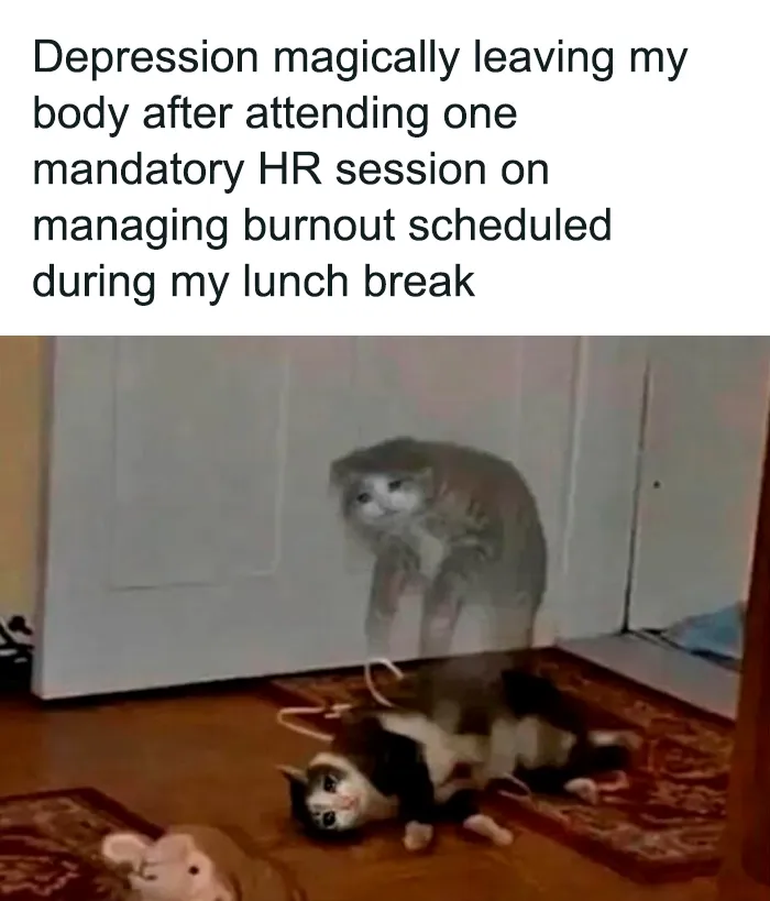 50 Hilariously Relatable Memes From ‘Cheerful Nihilism’